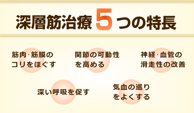 深層筋治療５つの特長「筋肉・筋膜のコリをほぐす、関節の可動性を高める、神経、血管の滑走性の改善血行、深い呼吸を促す、気血の巡りをよくする」
